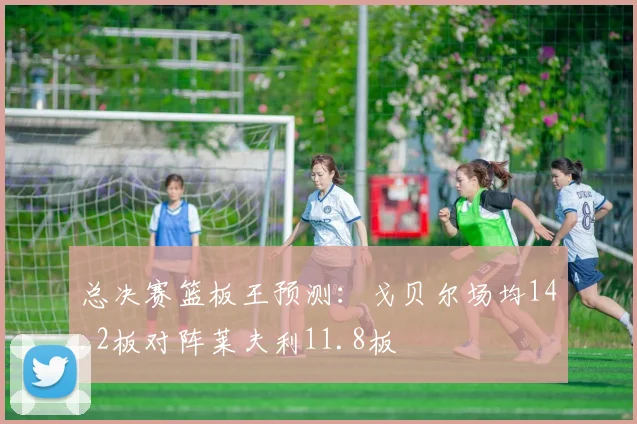总决赛篮板王预测：戈贝尔场均14.2板对阵莱夫利11.8板
