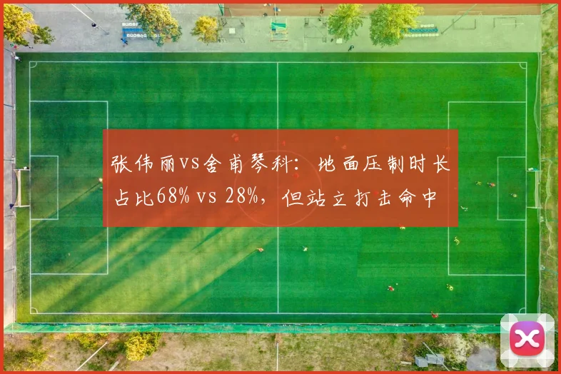 张伟丽vs舍甫琴科:地面压制时长占比68% vs 28%,但站立打击命中率低至32%